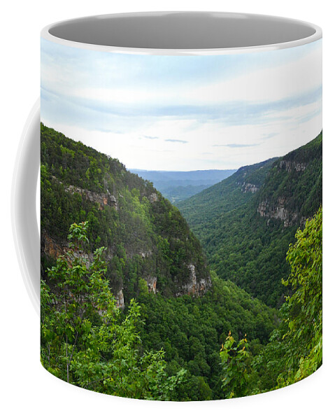 Hemlock Falls Coffee Mug featuring the photograph Cloudland Canyon State Park 1 by Phil Perkins