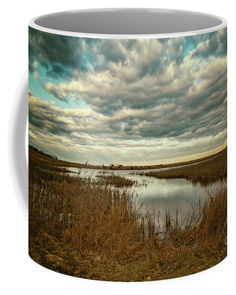 Clouds Coffee Mug featuring the photograph Clouds and Reflections by Debra Fedchin