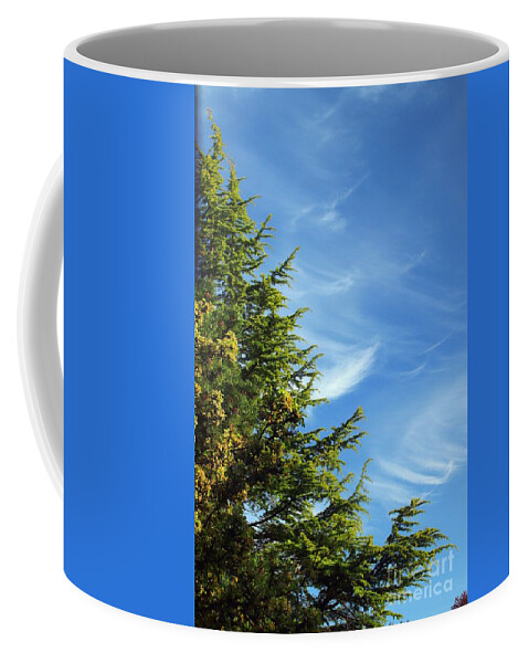 Clouds Coffee Mug featuring the photograph Clouds Imitating Trees by Kimberly Furey