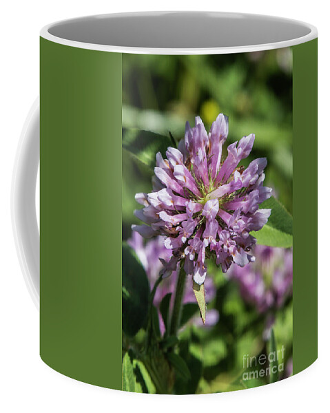 Illinois Coffee Mug featuring the photograph Clover by Kathy McClure