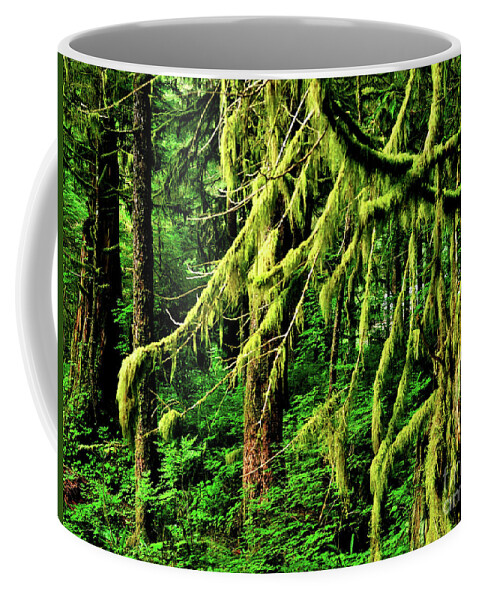 Forest Coffee Mug featuring the photograph Coastal Rain Forest in Alaska by Joe Ng