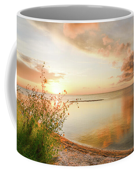 Coast Coffee Mug featuring the photograph Coastal Sunset by Christopher Rice