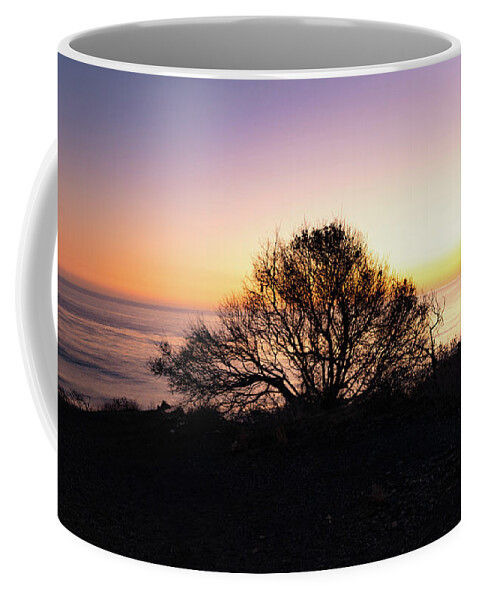 California Coffee Mug featuring the photograph Coastal Tree After Sunset by Matthew DeGrushe