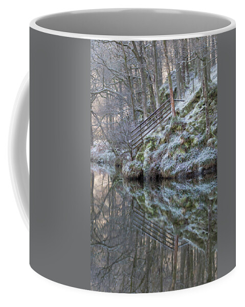 Cold Coffee Mug featuring the photograph Cold Reflections by Anita Nicholson