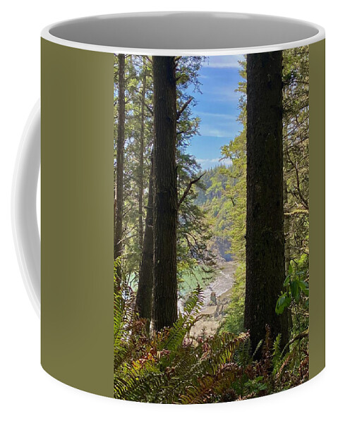 College Cove Coffee Mug featuring the photograph College Cove by Daniele Smith