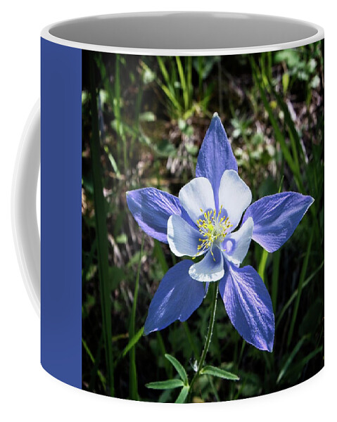 Flower Coffee Mug featuring the photograph Colorado Blue Columbine by Loren Gilbert