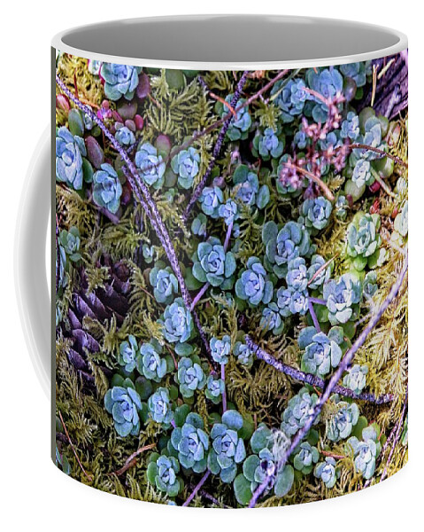 Background Coffee Mug featuring the photograph Colorful Forest Floor by David Desautel