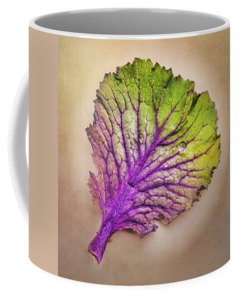 Leaf Coffee Mug featuring the photograph Colorful Leaf by Gary Slawsky