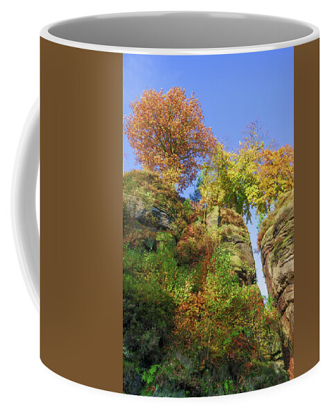 Saxon Switzerland Coffee Mug featuring the photograph Colorful trees in the Elbe Sandstone Mountains by Sun Travels