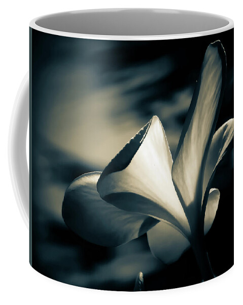 Monochrome Coffee Mug featuring the photograph Colorless Beauty by Gena Herro