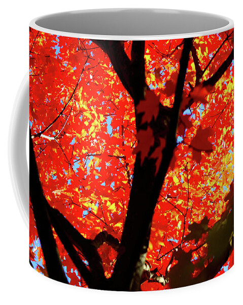 Fall Leaves Coffee Mug featuring the photograph Colors of Autumn by Christopher Reed
