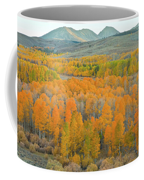 Trees Coffee Mug featuring the photograph Colors of the Season by Jonathan Nguyen