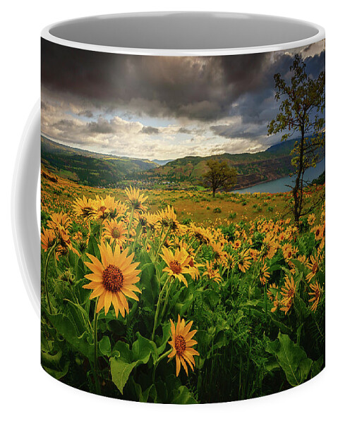 Rowena Crest Coffee Mug featuring the photograph Columbia Gorge Blooms by Dan Mihai