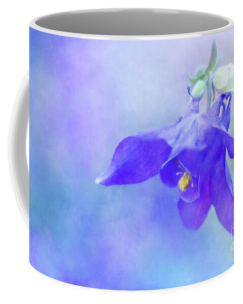 Columbine Coffee Mug featuring the photograph Columbine in Purple and Blue by Anita Pollak