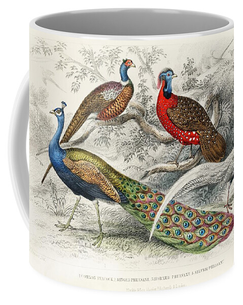 Peacock Coffee Mug featuring the painting Common Peacock Ringed Pheasant Horned Pheasant and Silver Pheasant from A history of the earth and a by Les Classics