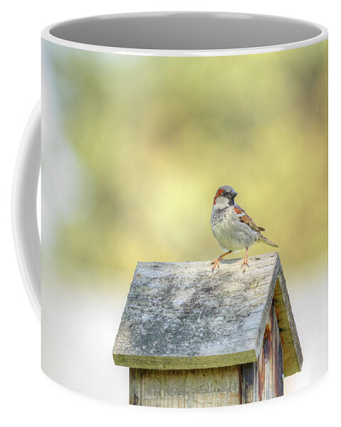 Bird Coffee Mug featuring the photograph Common Sparrow by Loyd Towe Photography