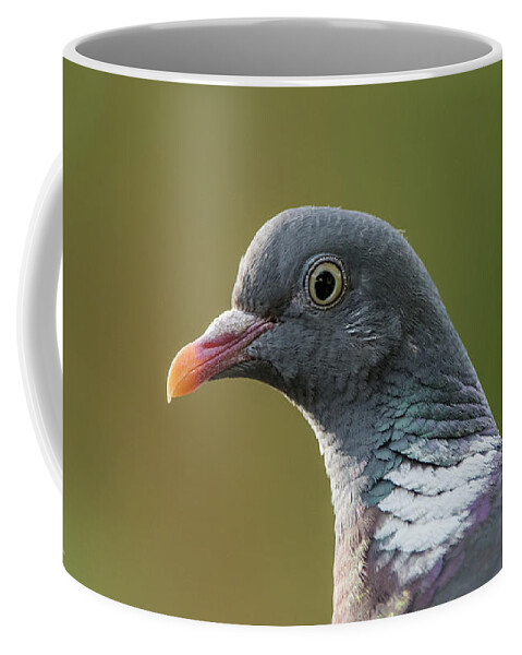Common Wood Pigeon Coffee Mug featuring the photograph Common Wood Pigeon s portrait by Torbjorn Swenelius