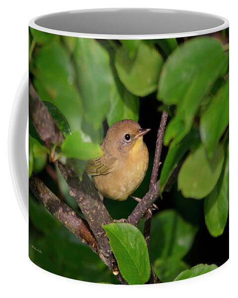 Warbler Coffee Mug featuring the photograph Common Yellowthroat Warbler by Christina Rollo