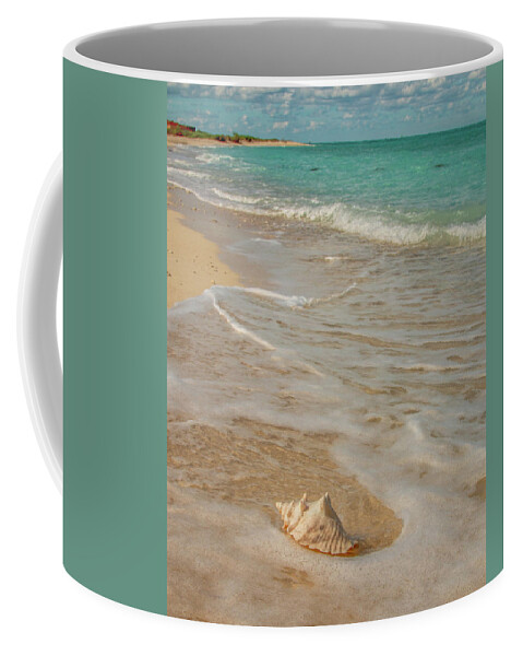 Conch Coffee Mug featuring the photograph Conch Shell on Bush Key 3 by Kristia Adams