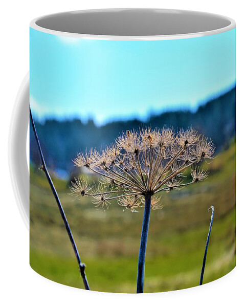 Spring Coffee Mug featuring the photograph Coning to Life in Spring by James Cousineau