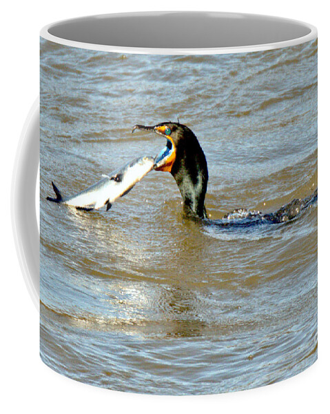 Conowingo Coffee Mug featuring the photograph Conowingo Cormorant Lunch by Adam Jewell