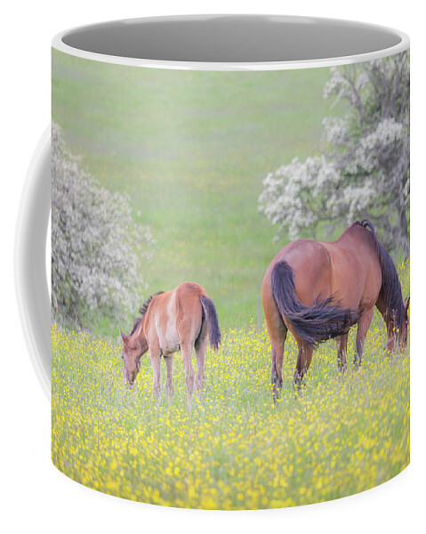 Horses Coffee Mug featuring the photograph Contentment - Mare and Foal in a meadow by Anita Nicholson