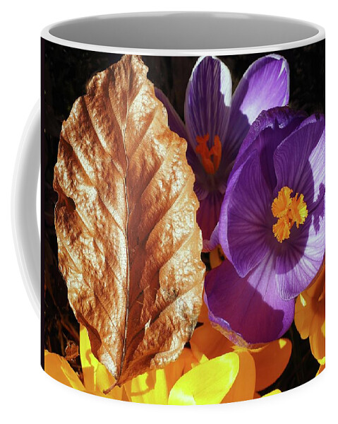 Spring Coffee Mug featuring the photograph Copperleaf And Crocus Spring Surprise by OBT Imaging