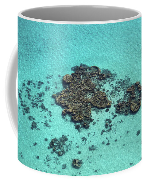 Turquoise Coffee Mug featuring the photograph Coral bombies by Nicolas Lombard