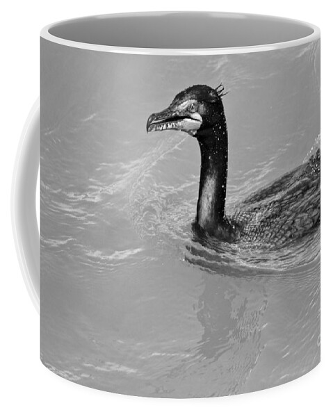 Cormorant Coffee Mug featuring the photograph Cormorant In The Susquehanna River Black And White by Adam Jewell