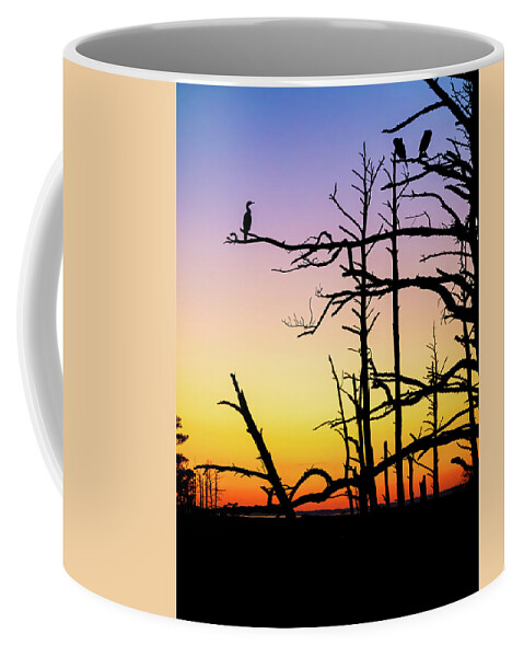 Chincoteague Coffee Mug featuring the photograph Cormorant Sunset by Rachel Morrison