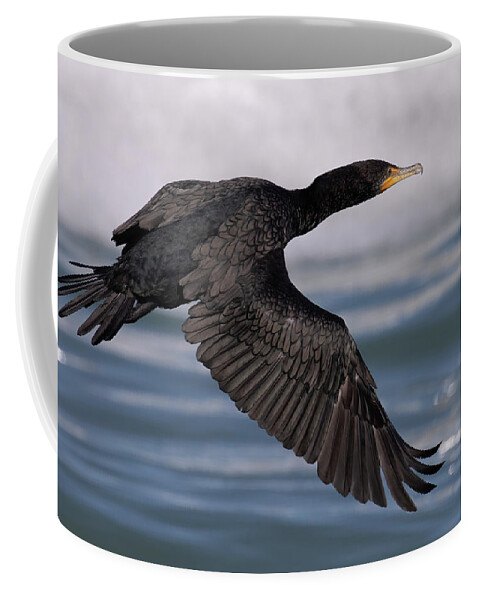 Birds Coffee Mug featuring the photograph Cormorant's Glistening Glide by RD Allen