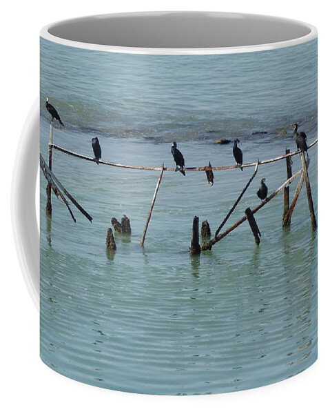 Bird Coffee Mug featuring the photograph Cormorants On A Canal by Ocean View Photography