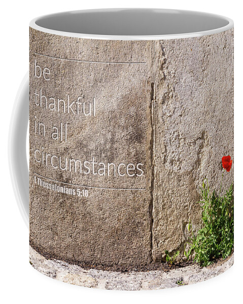City Coffee Mug featuring the photograph Be thankful in all circumstances by Viktor Wallon-Hars