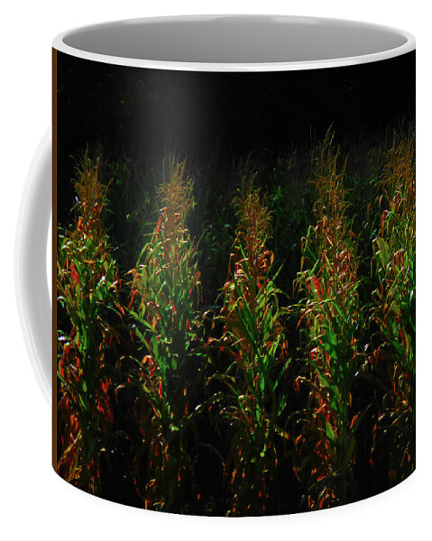  Coffee Mug featuring the photograph Corn Rows by Michelle Hoffmann