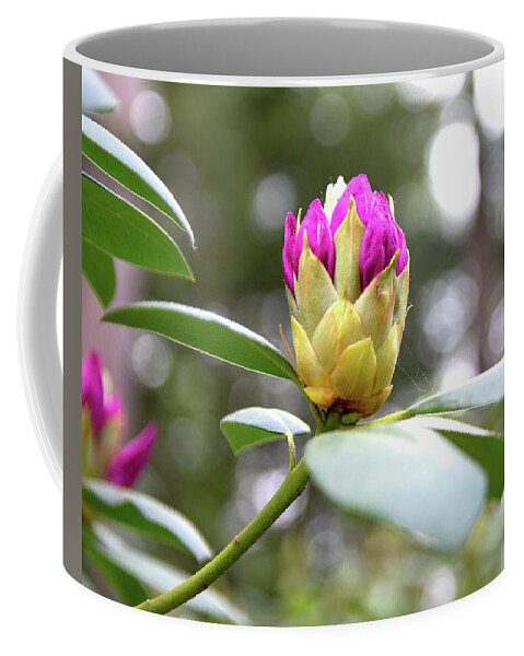 Rhododendron Coffee Mug featuring the photograph Cornell Botanic Gardens #5 by Mindy Musick King
