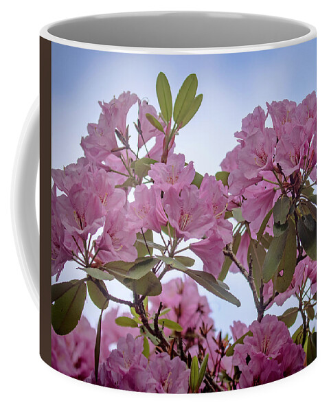 Rhododendron Coffee Mug featuring the photograph Cornell Botanic Gardens #6 by Mindy Musick King