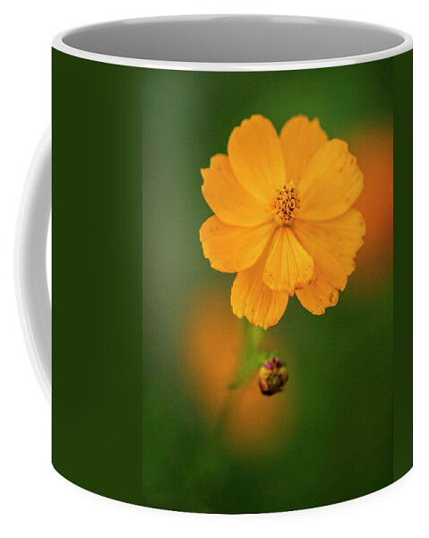Fall Coffee Mug featuring the photograph Cosmos Bright Fall by Karen Cox