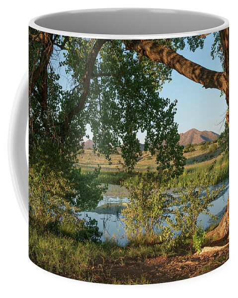 Landscape Coffee Mug featuring the photograph Cottonwood and Pond in New Mexico Desert in Color by Mary Lee Dereske