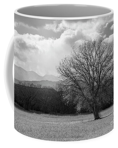 Bosque Del Apache Coffee Mug featuring the photograph Cottonwood Tree by Maresa Pryor-Luzier