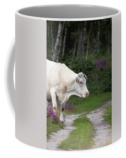 Cow Coffee Mug featuring the photograph Cow in the Forest by MPhotographer