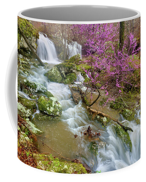 Spring Coffee Mug featuring the photograph Coward's Hollow Shut-ins II by Robert Charity