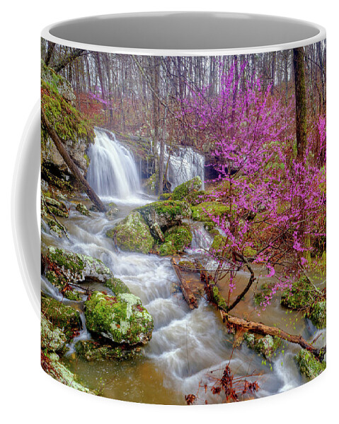 Waterfall Coffee Mug featuring the photograph Cowards Hollow Shut-ins III by Robert Charity
