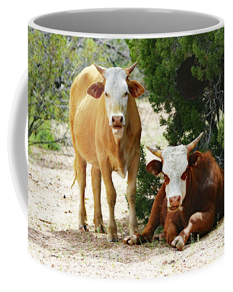 Cowbuddies In The Shade Coffee Mug featuring the digital art Cowbuddies In The Shade by Tom Janca