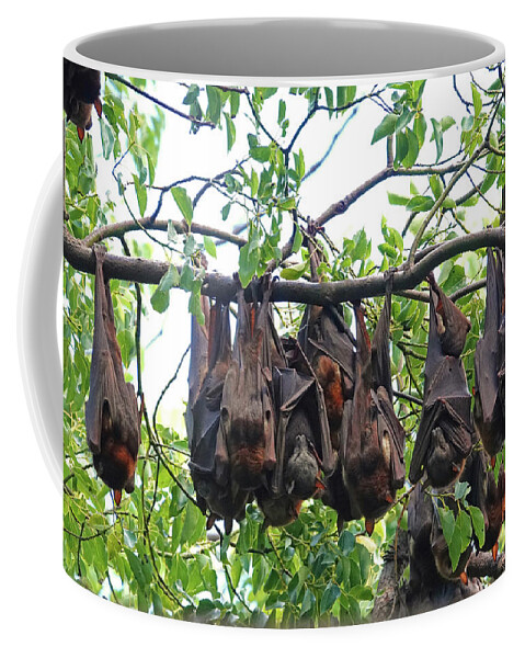 Animals Coffee Mug featuring the photograph Cozy Bunch by Maryse Jansen