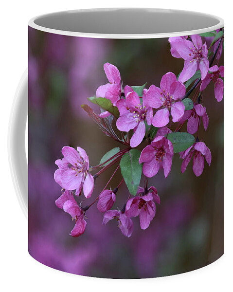 Crab Apple Blossoms Coffee Mug featuring the photograph Crab Apple Blossoms by Aashish Vaidya