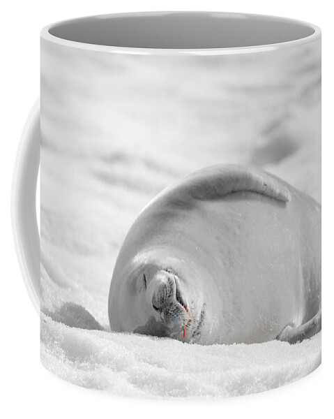 04feb20 Coffee Mug featuring the photograph Crabeater Seal Frozen Drool Pile BW-SC by Jeff at JSJ Photography