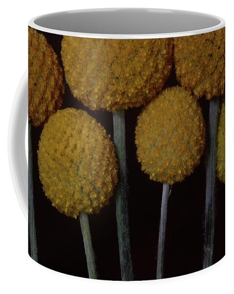 Macro Coffee Mug featuring the photograph Craspedia 4268 by Julie Powell