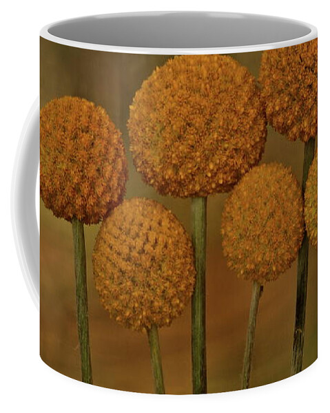Botanical Coffee Mug featuring the photograph Craspedia 4310 by Julie Powell