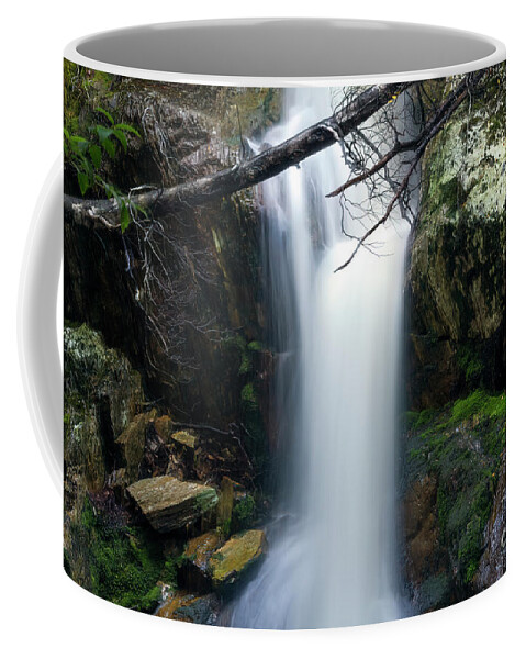 Tasmania Coffee Mug featuring the photograph Crater Falls, Cradle Mountain, Tasmania, Australia by Elaine Teague