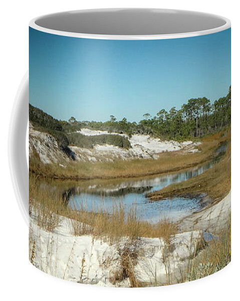 Florida Coffee Mug featuring the photograph Created by Nature by Judy Hall-Folde